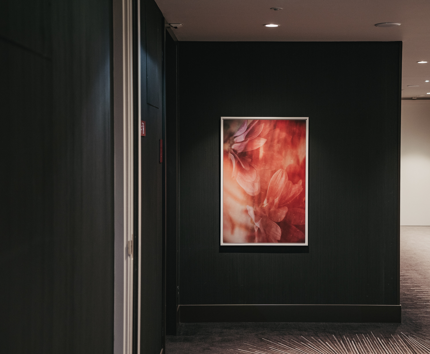 Fotokunst FlowR Haarlemmermeer Amsterdam